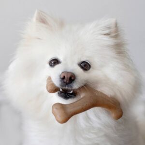 Benebone Wishbone Bacon Dog Toy - S