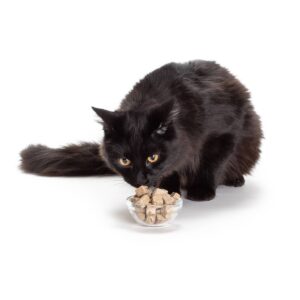 Hauspanther Freeze Dried Beef Liver Cat Treats - 1.5oz