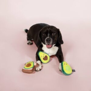 PetShop by Fringe Studio Avocado Set Dog Toys - 3pk