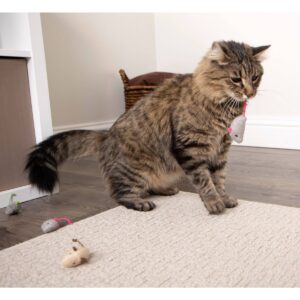 SmartyKat Skitter Critters Cat Toy - 10pk