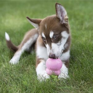 KONG Easy Treat Chicken Puppy Dog Treats - 8oz