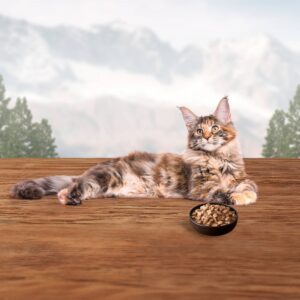 Blue Buffalo Wilderness Wild Delights Grain Free Meaty Morsels Premium Wet Cat Food Chicken & Salmon In Tasty Gravy - 3oz