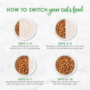 Purina Fancy Feast with Ocean Fish, Salmon & Garden Greens Adult Gourmet Dry Cat Food - 3lbs