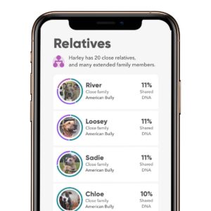 Embark Breed & Health Dog DNA Test