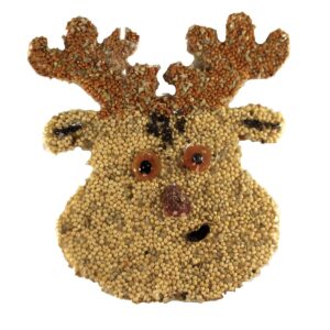 Home & Garden 6.0" Birdie Cookies Santa Snowman Reindeer Ginger Mr Bird - Bird And Wildlife Food