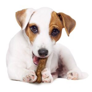 Nylabone Natural Medium Chicken Nubz Chewy Dog Treats - 4ct