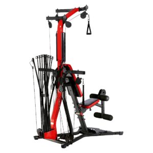 Bowflex PR3000 Home Gym