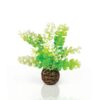 biOrb Aquatic Caulerpa Aquarium Artificial Plants - Green