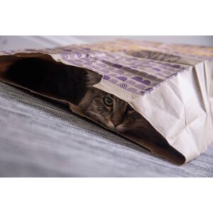 SmartyKat Catnip Caves Cat Toy - 2pk