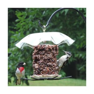 Birds Choice Bird Cylinder Seed Cake Bird Feeder, Medium