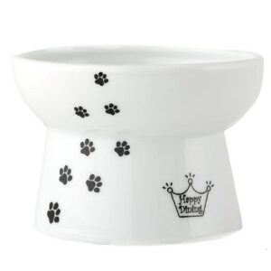 Necoichi Raised Cat Food Bowl