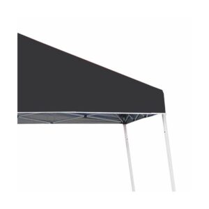 Z-Shade 10 x 10 Foot Angled Leg Instant Shade Outdoor Canopy Tent Portable Shelter with Durable Steel Frame and Carrying Bag, Black