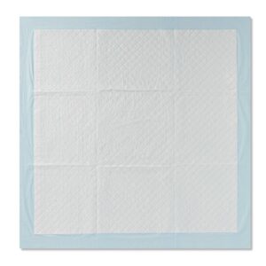 Puppy & Adult Dog Training Pads - 40ct - XXL - up & up™