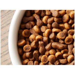 Rachael Ray Nutrish Yummy Chicken and Veggies Recipe Dry Cat Food - 2.5lbs