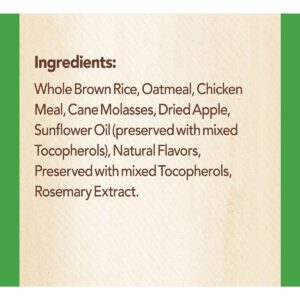 Nutro Crunchy Apple Dog Treats - 10oz