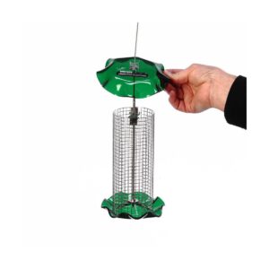 Birds Choice 1qt Sunflower Forever Bird Feeder - Green