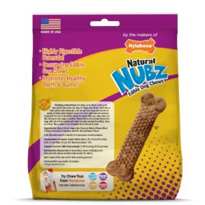 Nylabone Nubz Bacon Dental Dog Treats - 21.06oz
