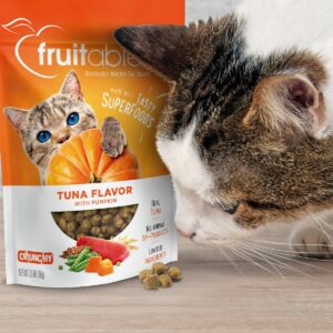 Fruitables Healthy Low Calorie Tuna and Pumpkin Crunchy Cat Treat - 2.5oz