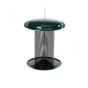 Birds Choice 3qt Magnet Mesh Safflower Bird Feeder - Green