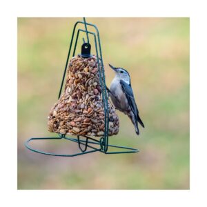 Home & Garden 9.5" Seed Bell Hanger Songbirds Bird Feed Mr Bird - Bird And Wildlife Food