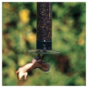 Droll Yankees Yankee Tipper Collapsing Tray Squirrel Proof Bird Feeder - Black - 21"