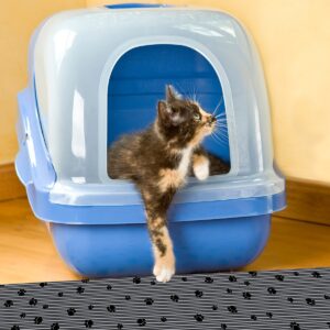 Drymate Cat Litter Scented Mat - Gray (Extra Large)
