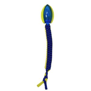 NERF Rope Snake Light Up Head New Braid Dog Toy - Blue & Green