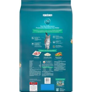 Purina ONE Sensitive Skin and Stomach Wet Cat Food - 22lbs
