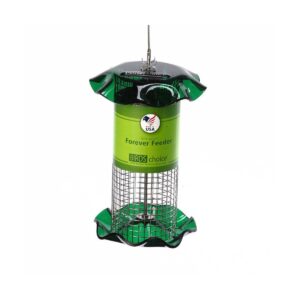 Birds Choice 1qt Sunflower Forever Bird Feeder - Green