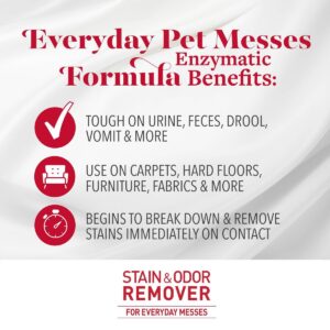 Nature's Miracle Dog Stain and Odor Remover Foam 17.5oz