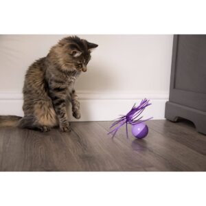 SmartyKat Twirly Top Electronic Motion Cat Toy
