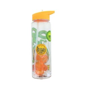 Just Funky Dragon Ball Z Shenron Water Bottle w/ Molded Ice Cubes
