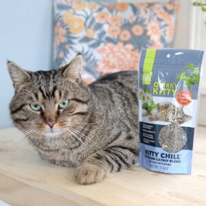 Quirky Kitty Kitty Chill North American Catnip with Chamomile Blend Cat Treats - 0.5oz