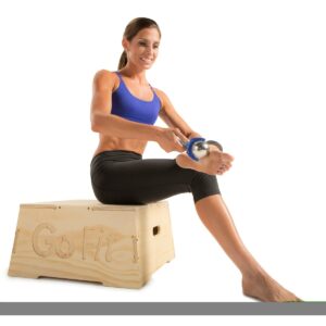 GoFit Polar Roller