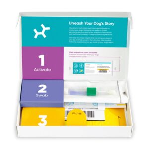 Embark Breed & Health Dog DNA Test
