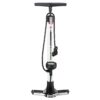 Schwinn Cyclone Plus Bike Pump - White