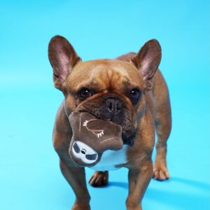 PetShop by Fringe Studio Sloth Takin it Slow Mini Dog Toy Set - 4pk