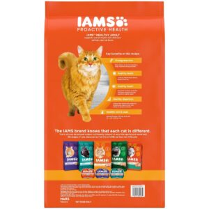 Iams Proactive Health Adult Original with Salmon and Tuna Dry Cat Food - 16lbs