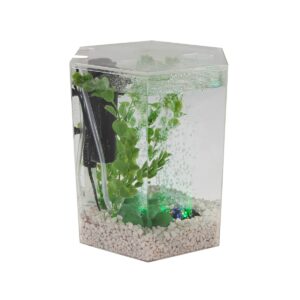 Tetra Bubbling LED Kit 1 Gallon, Hexagon Aquarium With Color-Changing Light Disc