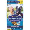 Purina Puppy Chow with Chicken Large Breed Dry Dog Food - 32lbs