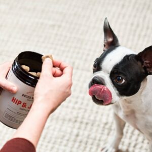 Rocco & Roxie Supply Co. Hip & Joint Supplement for Dogs - 120ct