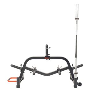 Sunny Health & Fitness Multi-Weight Plate and Barbell Rack Storage Stand