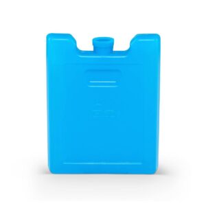 Igloo MaxCold Refreezable Ice Block 2pk - Small