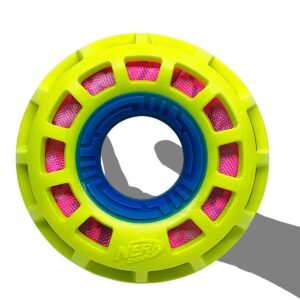 NERF Exo Crunch Squeak Ring Dog Toy - 6"