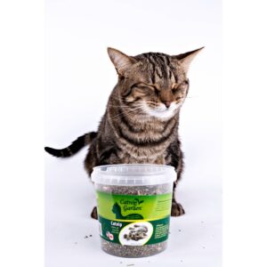 Multipet Garden Cat Catnip Cat Treats - 2.5oz
