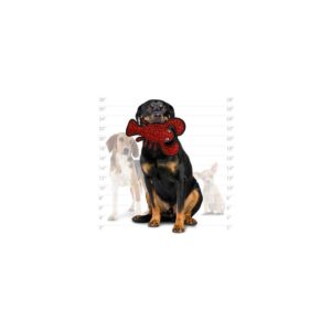Tuffy Ocean Creature Lobster Dog Toy - Red