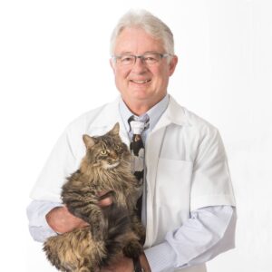 Dr. Elsey's - Ultra Unscented Cat Litter - 35lb
