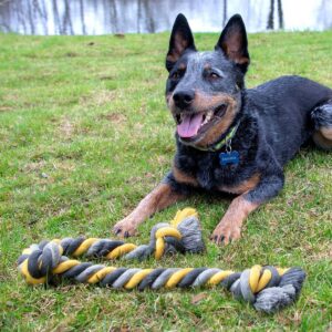 Rope Dog Toy - XL - Boots & Barkley™