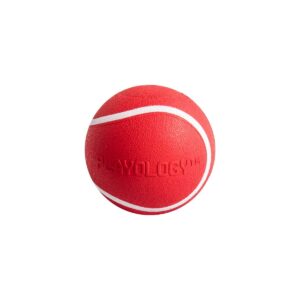 Playology Squeaky Chew Ball Beef Scent Dog Toy - Red - S