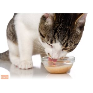 Delectables Bisque with Tuna & Chicken Lickable Cat Treats - 1.4oz